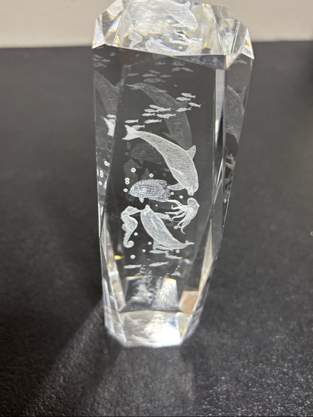 Sea Life Clear Heavy Paper Weight Decor Nautical